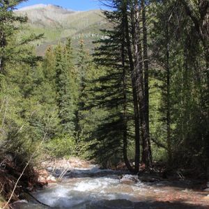 Meet your Posher, Mal